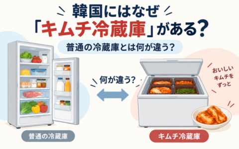 韓国にはなぜ「キムチ冷蔵庫」がある？普通の冷蔵庫とは何が違う？